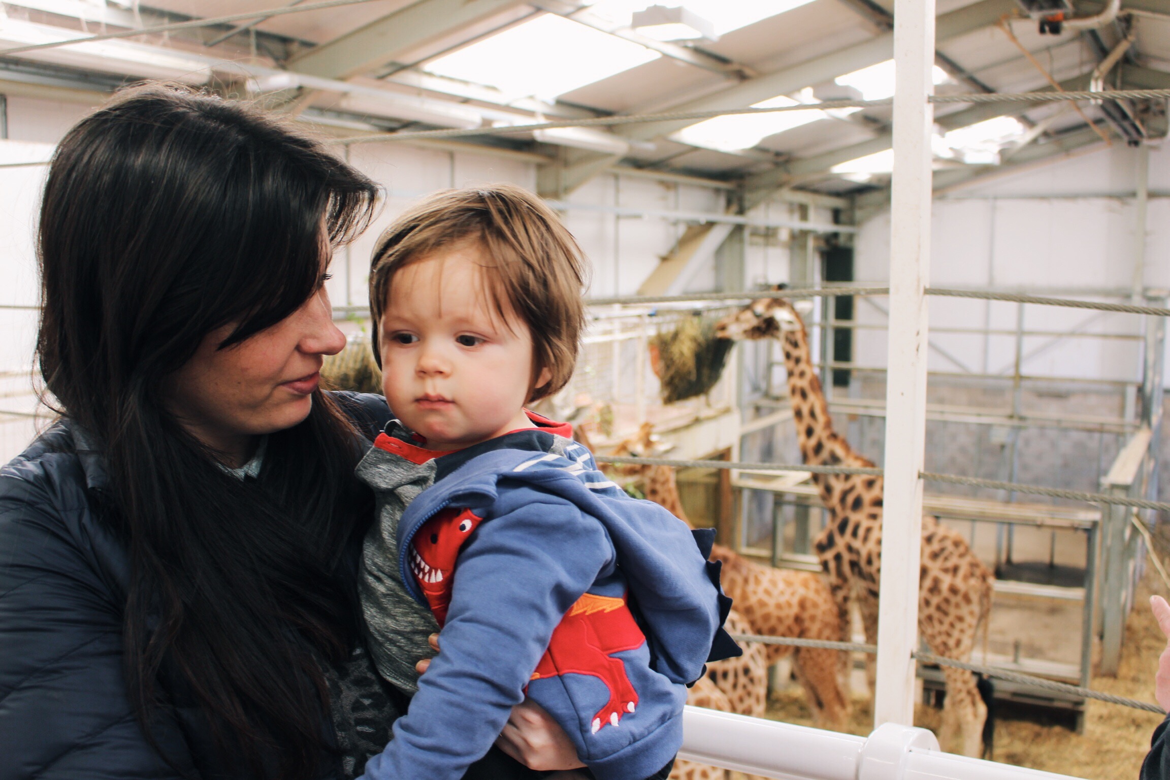 Processed with VSCO with a1 preset