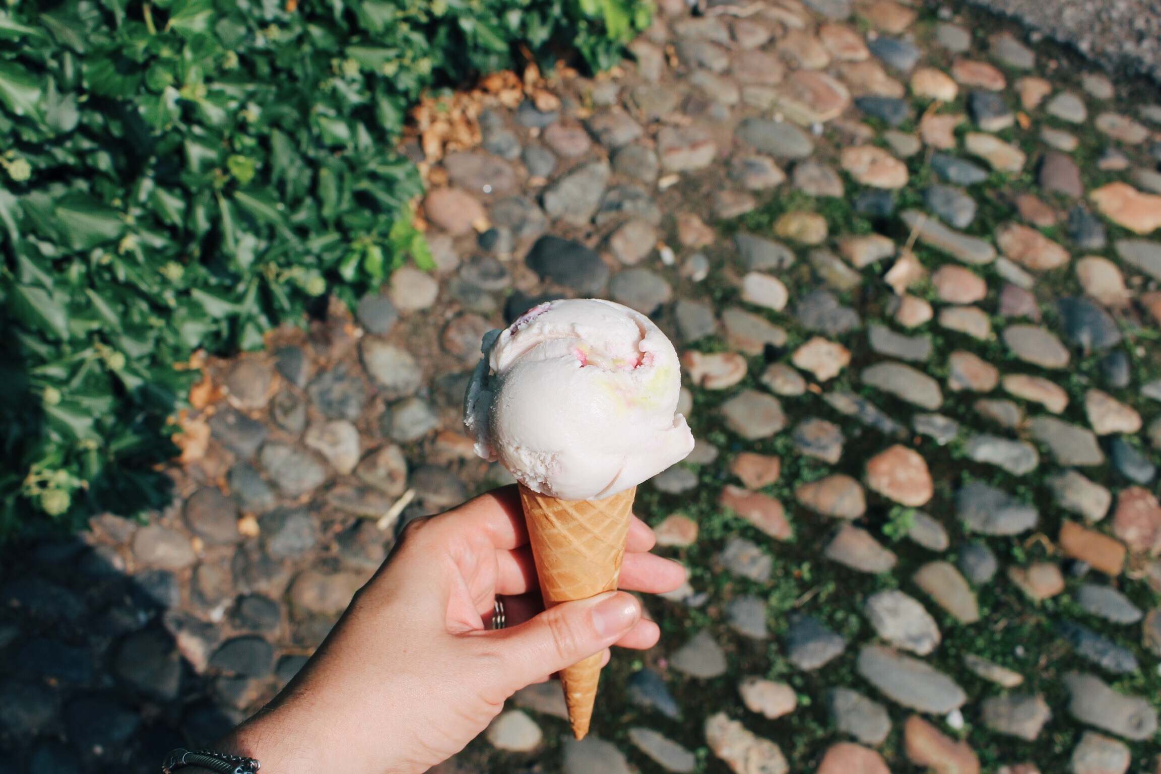 Processed with VSCO with e3 preset